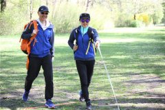 某综艺节目被叫停 业内猜测:或与金星有关 某综艺节目被叫停 业内猜测:或与金星有关